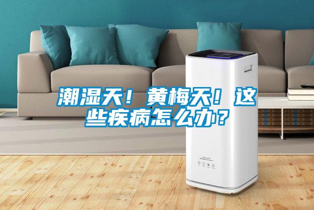 潮濕天！黃梅天！這些疾病怎么辦？