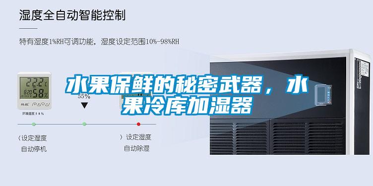 水果保鮮的秘密武器，水果冷庫加濕器