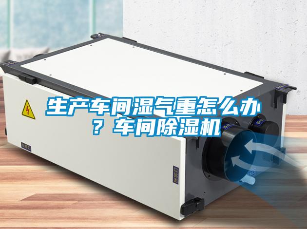 生產(chǎn)車間濕氣重怎么辦？車間除濕機(jī)