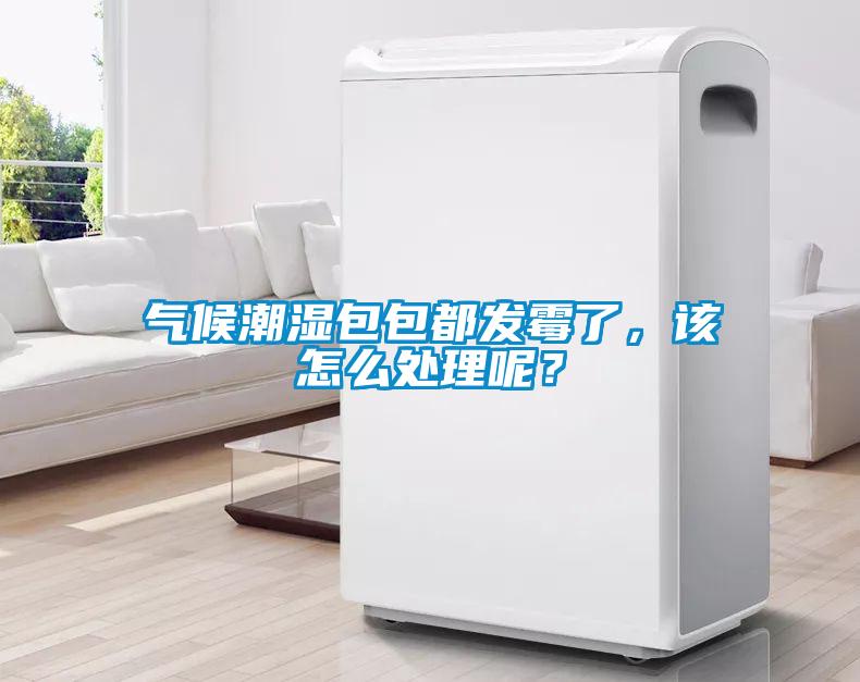 氣候潮濕包包都發(fā)霉了，該怎么處理呢？