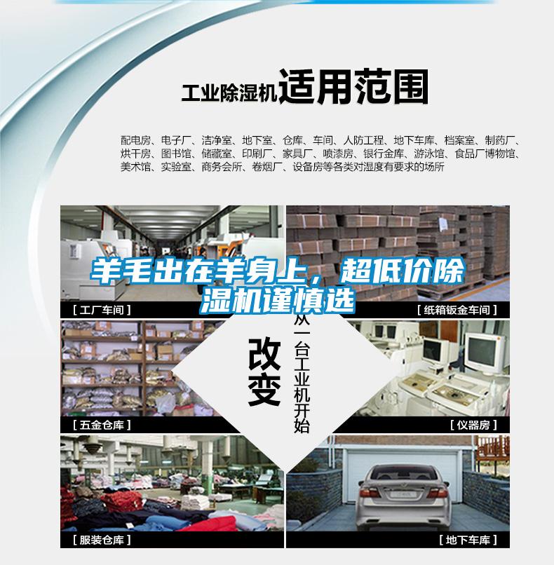 羊毛出在羊身上，超低價除濕機謹慎選