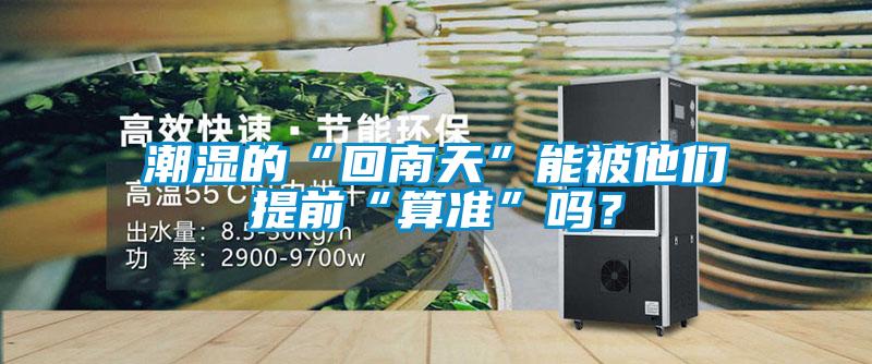 潮濕的“回南天”能被他們提前“算準(zhǔn)”嗎？