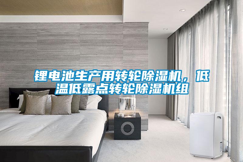 鋰電池生產(chǎn)用轉(zhuǎn)輪除濕機(jī)，低溫低露點(diǎn)轉(zhuǎn)輪除濕機(jī)組