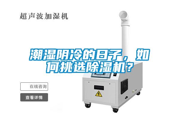 潮濕陰冷的日子，如何挑選除濕機(jī)？