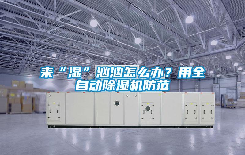來“濕”洶洶怎么辦？用全自動除濕機防范