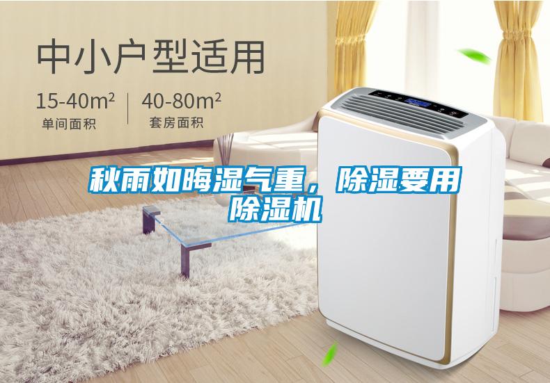 秋雨如晦濕氣重，除濕要用除濕機