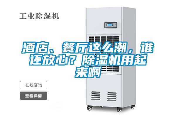 酒店、餐廳這么潮，誰還放心？除濕機(jī)用起來啊