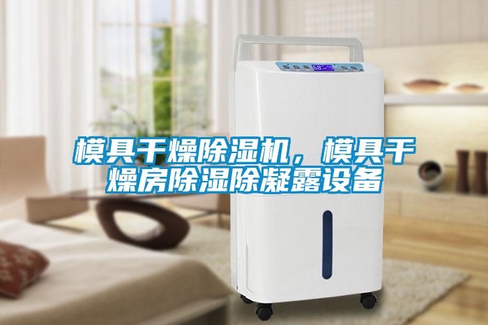 模具干燥除濕機，模具干燥房除濕除凝露設(shè)備