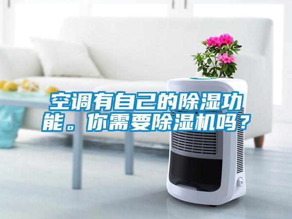 空調(diào)有自己的除濕功能。你需要除濕機(jī)嗎？