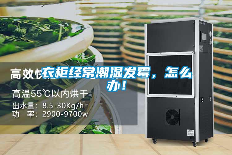衣柜經(jīng)常潮濕發(fā)霉，怎么辦！