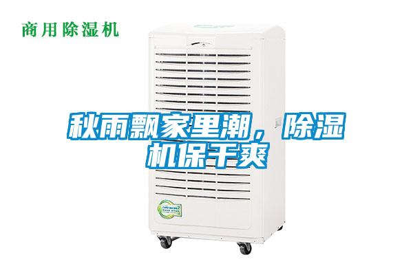 秋雨飄家里潮，除濕機保干爽
