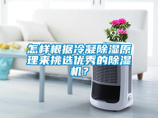 怎樣根據(jù)冷凝除濕原理來(lái)挑選優(yōu)秀的除濕機(jī)？