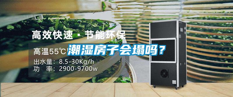 潮濕房子會(huì)塌嗎？