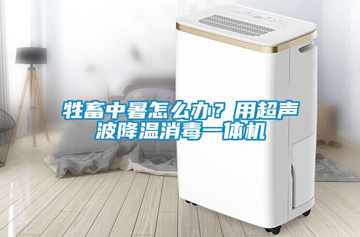 牲畜中暑怎么辦？用超聲波降溫消毒一體機(jī)