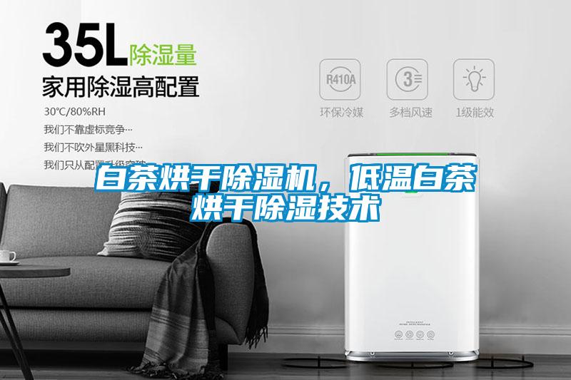白茶烘干除濕機(jī)，低溫白茶烘干除濕技術(shù)