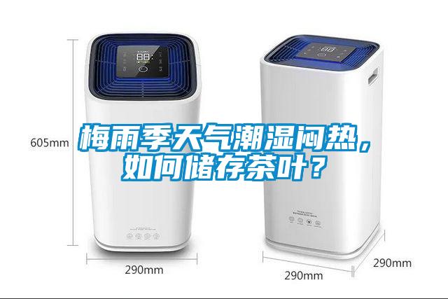 梅雨季天氣潮濕悶熱，如何儲存茶葉？
