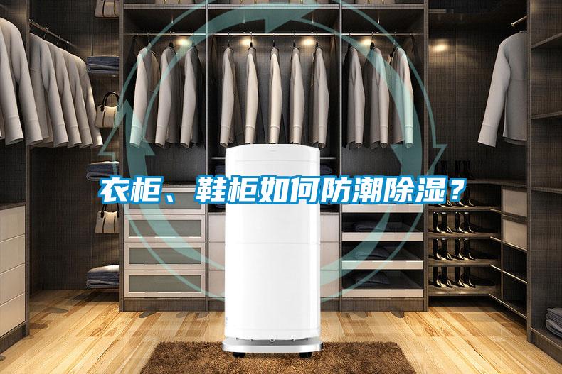 衣柜、鞋柜如何防潮除濕？