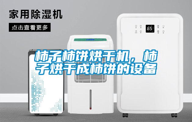 柿子柿餅烘干機，柿子烘干成柿餅的設備