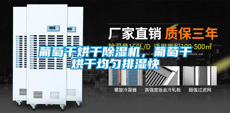 葡萄干烘干除濕機(jī)，葡萄干烘干均勻排濕快