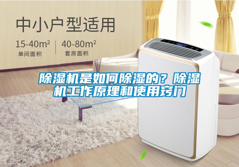 除濕機(jī)是如何除濕的？除濕機(jī)工作原理和使用竅門