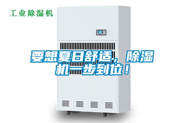 要想夏日舒適，除濕機(jī)一步到位！