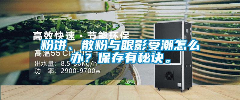 粉餅、散粉與眼影受潮怎么辦？保存有秘訣。