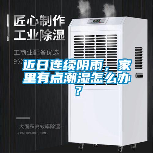 近日連續(xù)陰雨，家里有點(diǎn)潮濕怎么辦？