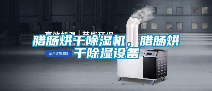 臘腸烘干除濕機(jī)，臘腸烘干除濕設(shè)備