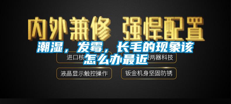 潮濕，發(fā)霉，長毛的現(xiàn)象該怎么辦最近