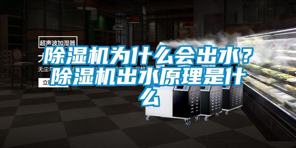 除濕機(jī)為什么會出水？除濕機(jī)出水原理是什么