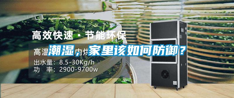 潮濕，家里該如何防御？