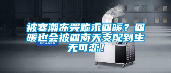 被寒潮凍哭跪求回暖？回暖也會被回南天支配到生無可戀！