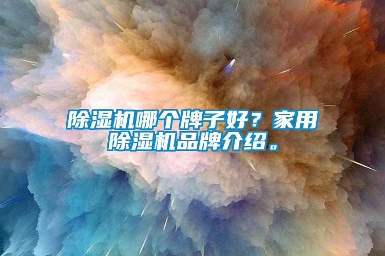 除濕機哪個牌子好？家用除濕機品牌介紹。