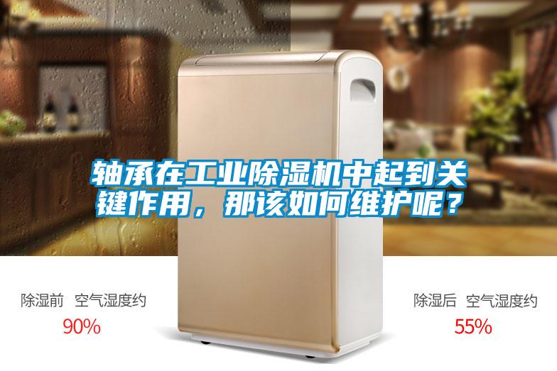 軸承在工業(yè)除濕機中起到關(guān)鍵作用，那該如何維護呢？