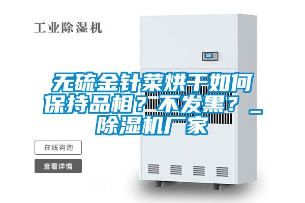 無硫金針菜烘干如何保持品相？不發(fā)黑？_除濕機(jī)廠家