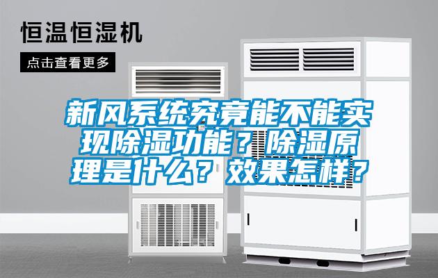 新風(fēng)系統(tǒng)究竟能不能實現(xiàn)除濕功能？除濕原理是什么？效果怎樣？