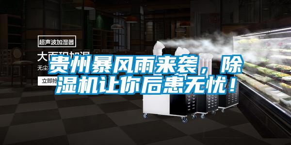 貴州暴風(fēng)雨來(lái)襲，除濕機(jī)讓你后患無(wú)憂！