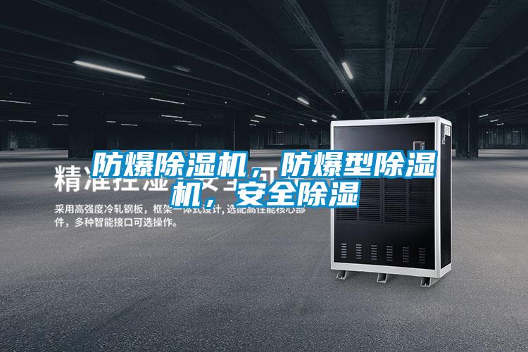 防爆除濕機(jī)，防爆型除濕機(jī)，安全除濕