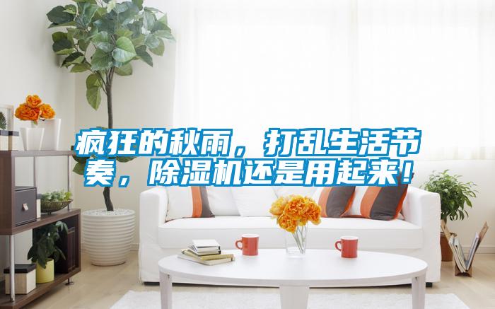 瘋狂的秋雨，打亂生活節(jié)奏，除濕機還是用起來！