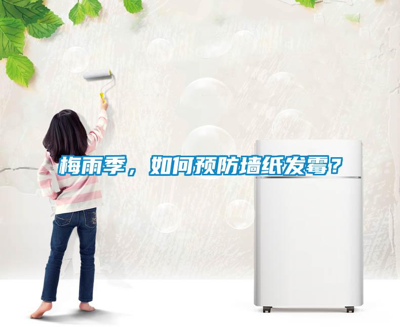 梅雨季，如何預(yù)防墻紙發(fā)霉？