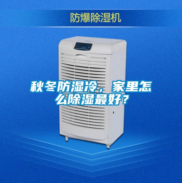 秋冬防濕冷，家里怎么除濕最好？