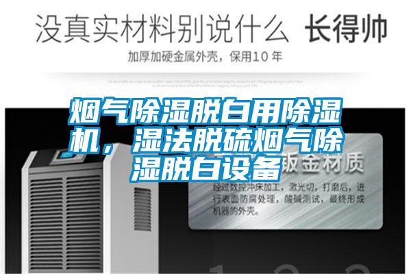 煙氣除濕脫白用除濕機(jī)，濕法脫硫煙氣除濕脫白設(shè)備