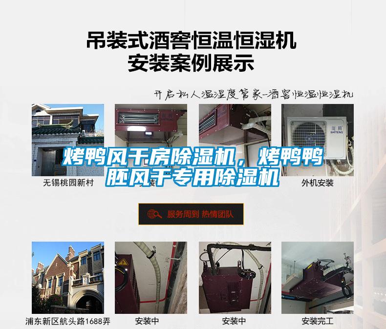 烤鴨風(fēng)干房除濕機(jī)，烤鴨鴨胚風(fēng)干專用除濕機(jī)