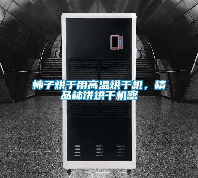 柿子烘干用高溫烘干機(jī)，精品柿餅烘干機(jī)器