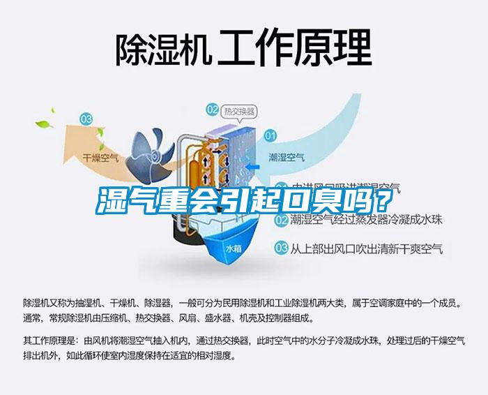 濕氣重會引起口臭嗎？