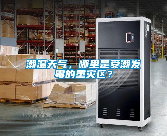潮濕天氣，哪里是受潮發(fā)霉的重災(zāi)區(qū)？
