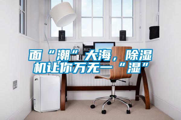 面“潮”大海，除濕機(jī)讓你萬(wàn)無(wú)一“濕”