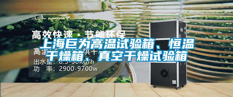 上海巨為高溫試驗(yàn)箱、恒溫干燥箱、真空干燥試驗(yàn)箱