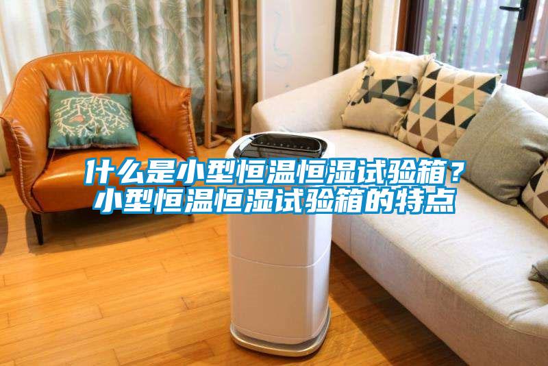 什么是小型恒溫恒濕試驗箱？小型恒溫恒濕試驗箱的特點