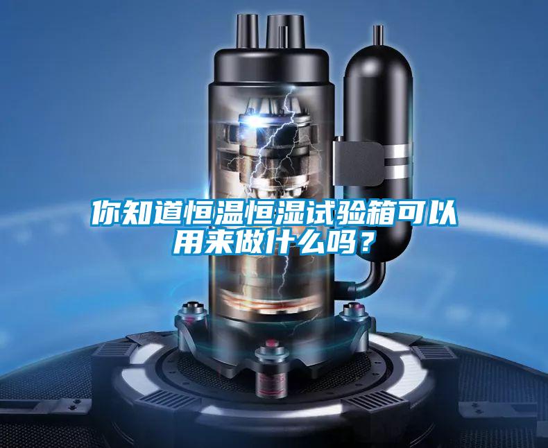 你知道恒溫恒濕試驗(yàn)箱可以用來(lái)做什么嗎？